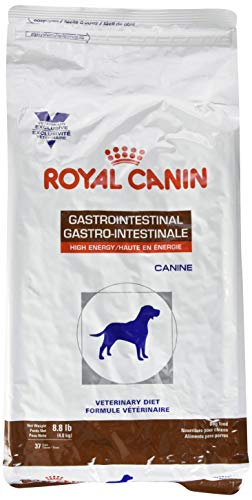 Royal Canin Croquetas Gastro Intestinal para Perros Puppy y High Energy