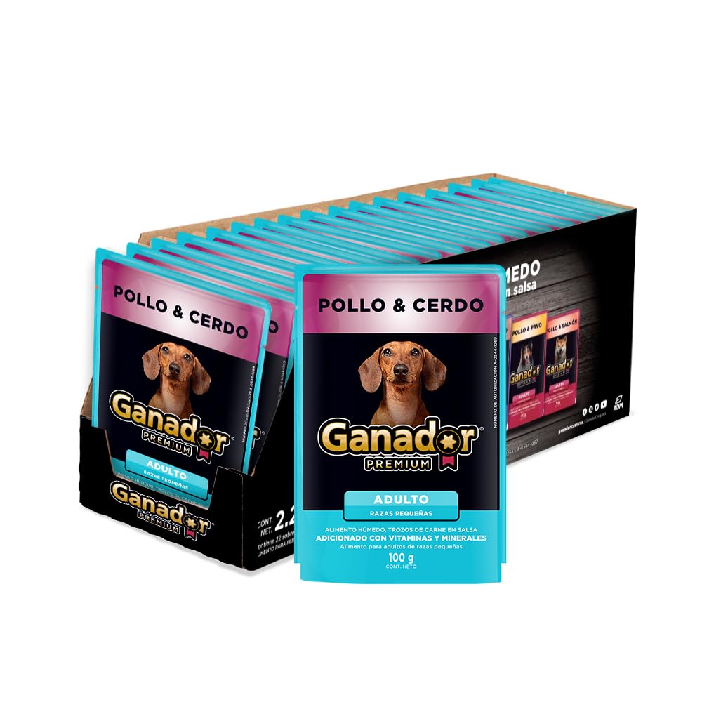 Ganador Premium Alimento Húmedo para Perro, Paquete con 22 Piezas de 100g Sabor Variado