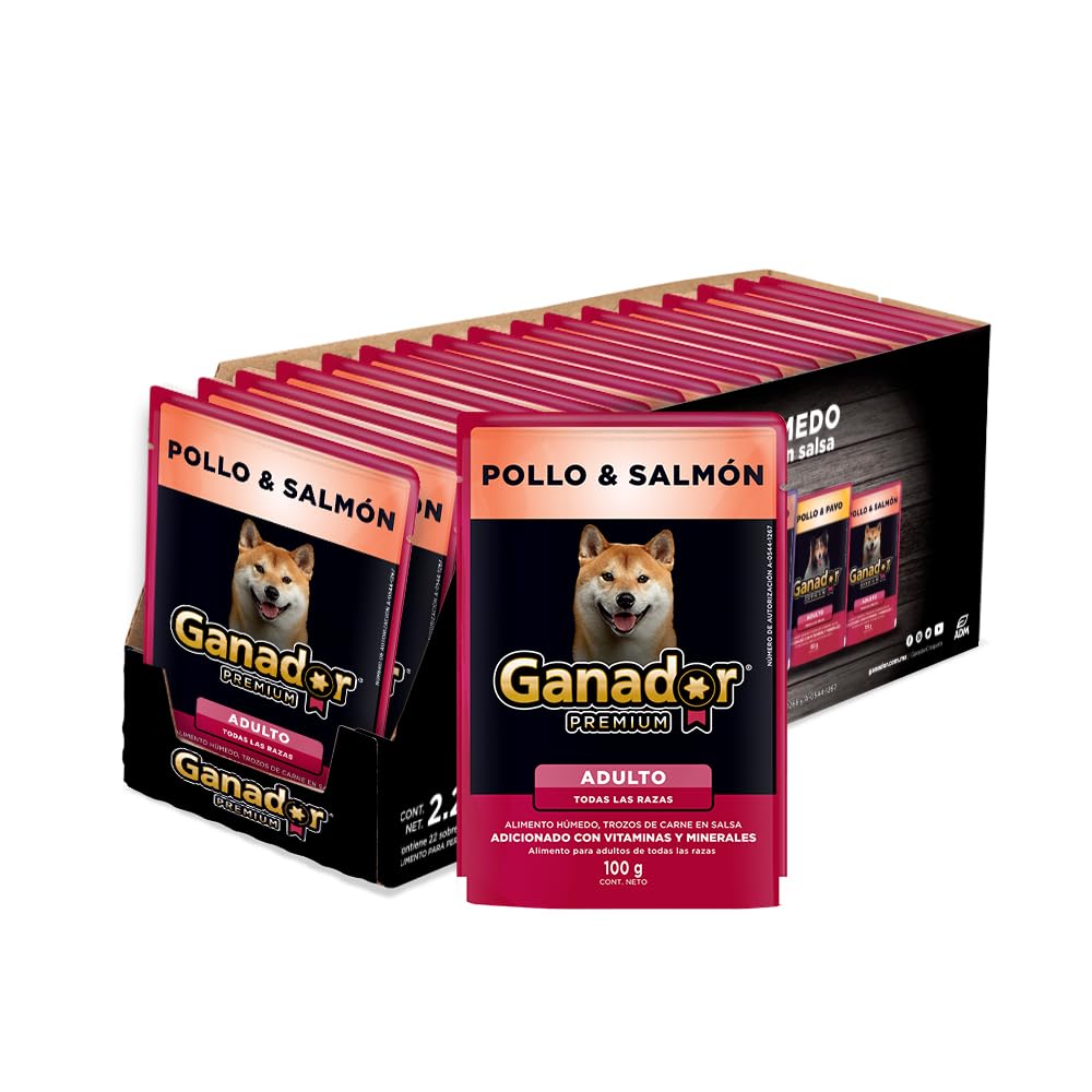 Ganador Premium Alimento Húmedo para Perro, Paquete con 22 Piezas de 100g Sabor Variado