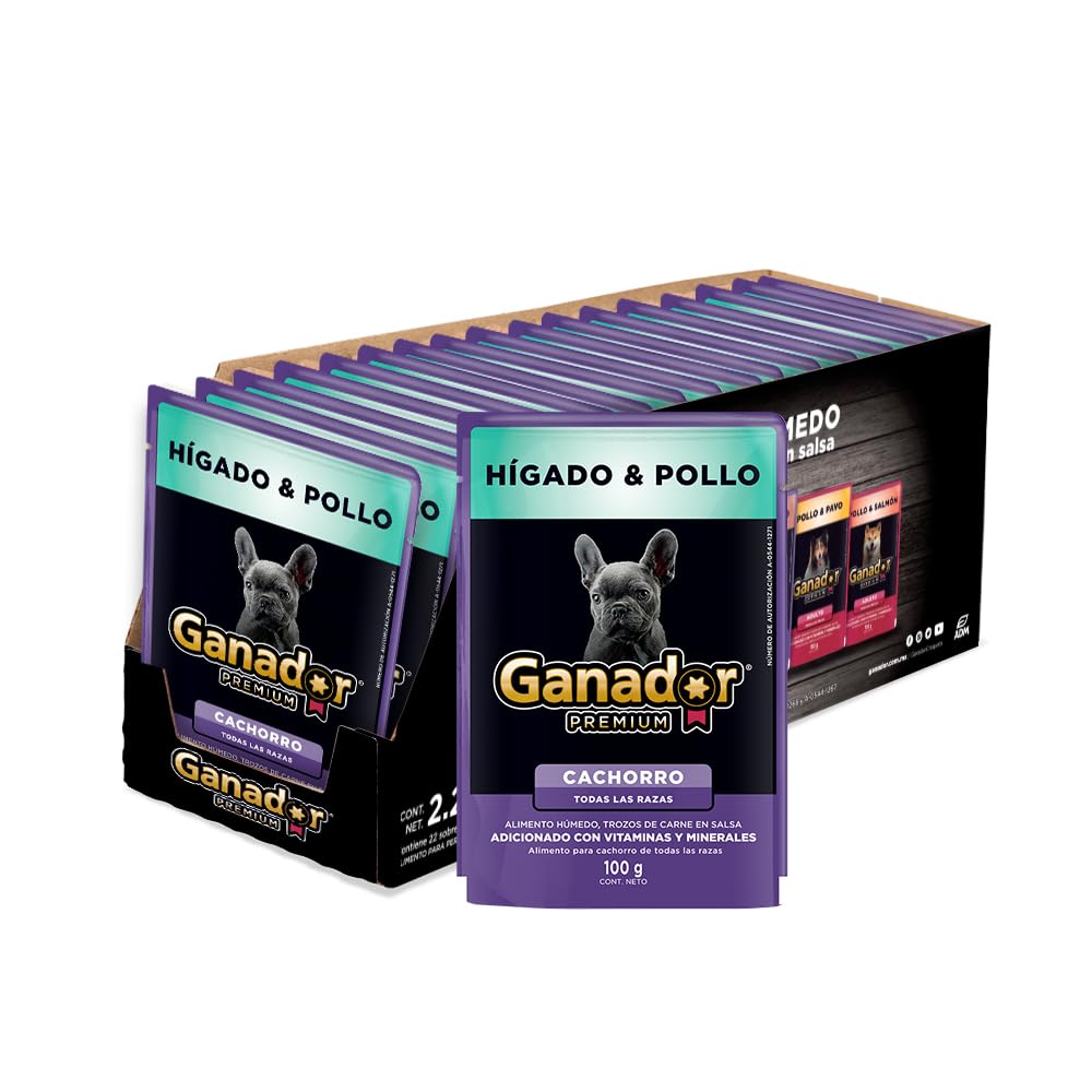 Ganador Premium Alimento Húmedo para Perro, Paquete con 22 Piezas de 100g Sabor Variado